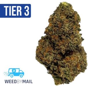 Tier 3 Motor Breath (28.74% THC)(Hybrid)
