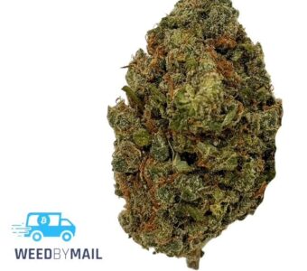 Tier 1 Jack Diesel (36.93%THC)(Sativa)