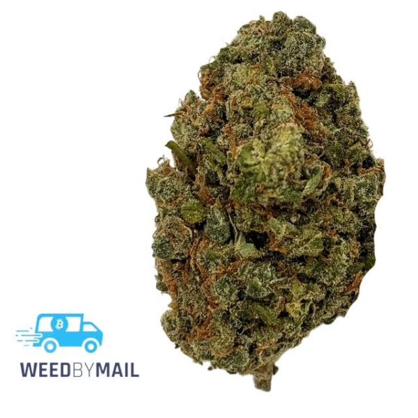 Tier 1 Jack Diesel (36.93%THC)(Sativa)