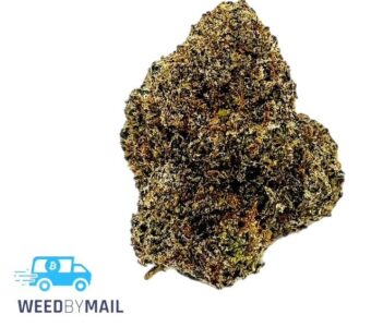 Tier 1 Guava Gelato (36.78% THC)(Hybrid)