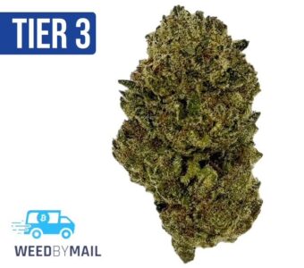 Tier 3 Buffalo Bill (28.82% THC)(Sativa)