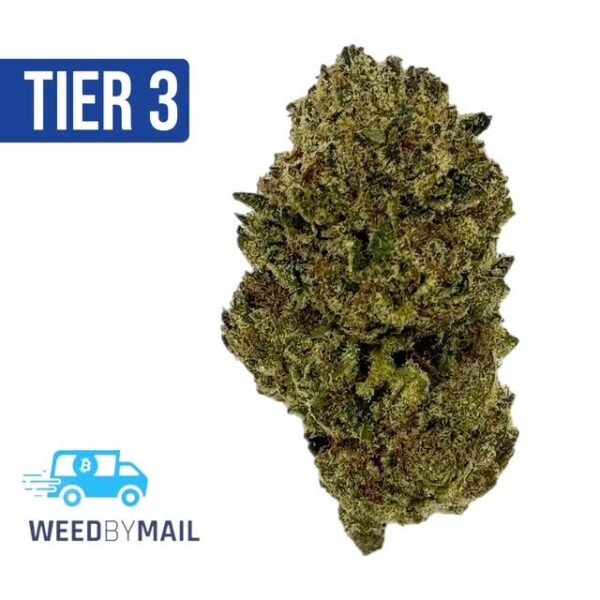 Tier 3 Buffalo Bill (28.82% THC)(Sativa)