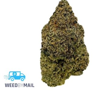 Tier 1 Gumbo (35.87% THC)(Indica)