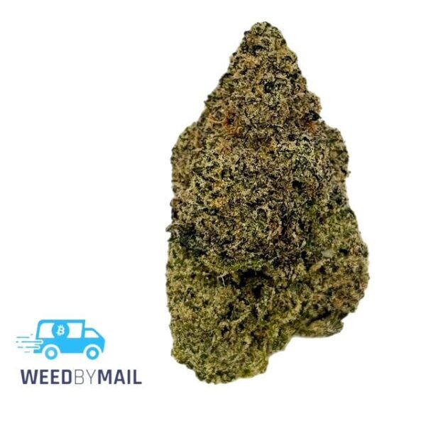 Tier 1 Gumbo (35.87% THC)(Indica)