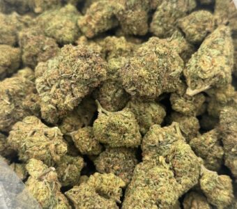 $550 LB Special “Legend OG”