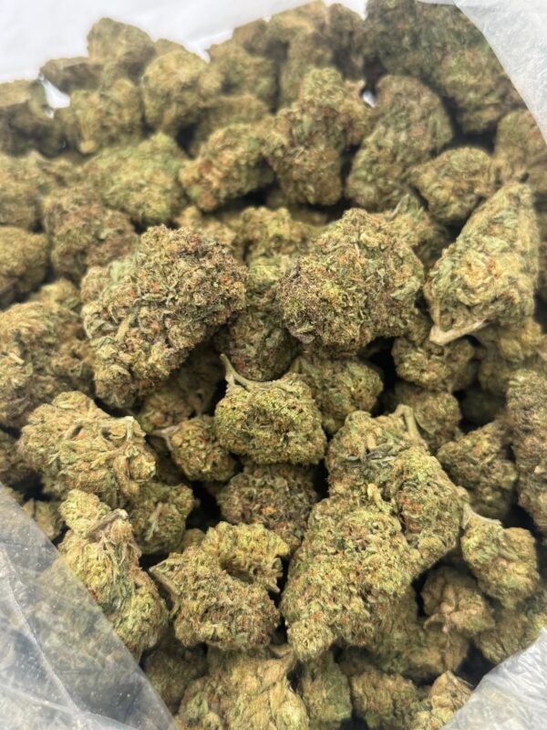 $550 LB Special "Legend OG"