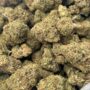 $450 LB Special "Satellite OG"