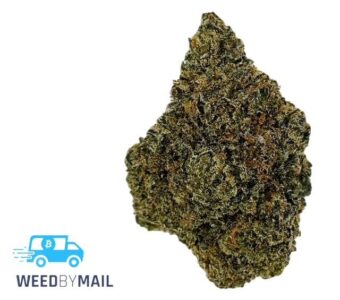 Tier 1 Purple Arrow (36.81% THC)(Hybrid)