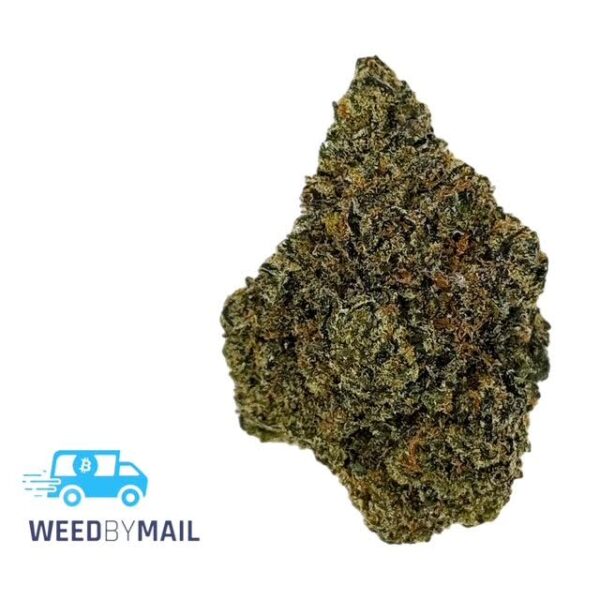 Tier 1 Purple Arrow (36.81% THC)(Hybrid)