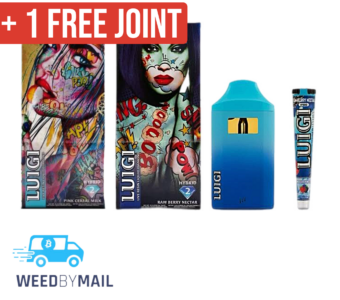 Luigi – 2G Disposable Pen (3 Options)