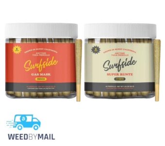 Surfside – Pre-Rolls 50Pk (50G)(3 Options)
