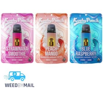 Kushy Punch – 1G Disposable Pen (3 Options)