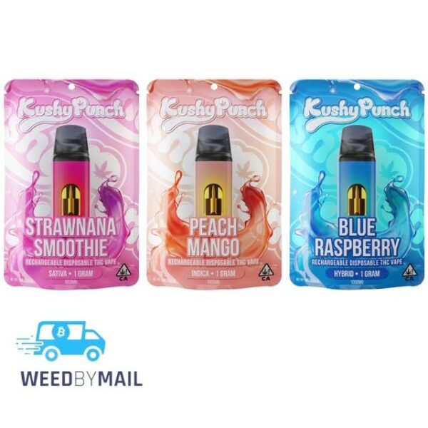 Kushy Punch - 1G Disposable Pen (3 Options)