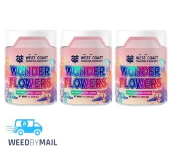 West Coast Trading Co. – Wonder Flowers 5G (5 Options)