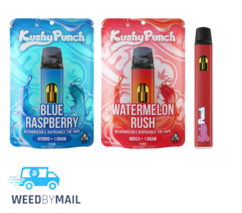 Kushy Punch – 1G Disposable Pen (2 Options)