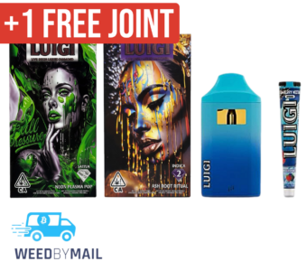 Luigi – 2G Disposable Pen (10 Options)