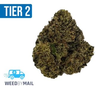 Tier 2 Gas Face (32.97% THC)(Hybrid)