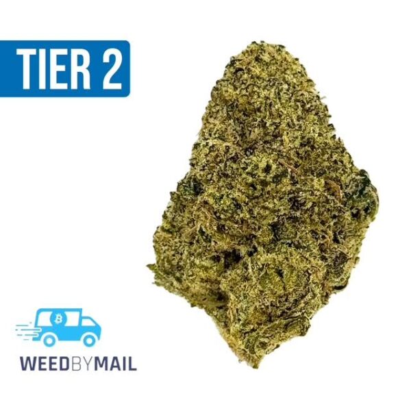 Tier 2 Neptune Kush (32.83% THC)(Indica)