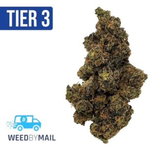 Tier 3 Agape (28.97% THC)(Sativa)