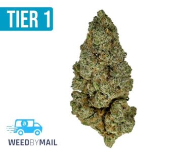 Tier 1 Green Crack (36.96%THC)(Sativa)