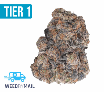 Tier 1 Blue Sherbet (36.76% THC)(Hybrid)