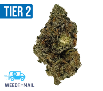 Tier 2 Apples & Bananas (32.84% THC) (Hybrid)