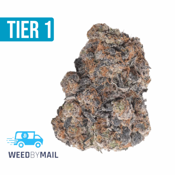 Tier 1 Blue Sherbet (36.76% THC)(Hybrid)
