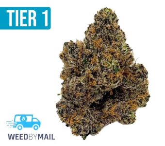 Tier 1 Pineapple Fruz (36.98%THC)(Sativa)