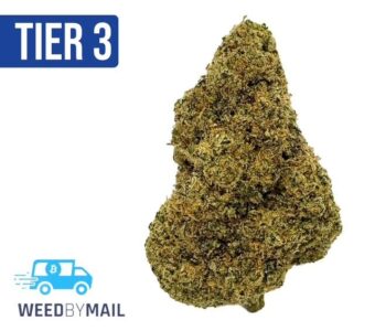 Tier 3 Pink Cookies (28.83% THC)(Hybrid)