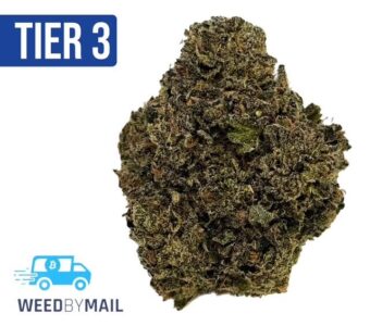 Tier 3 Black Ice (28.92% THC) (Indica)