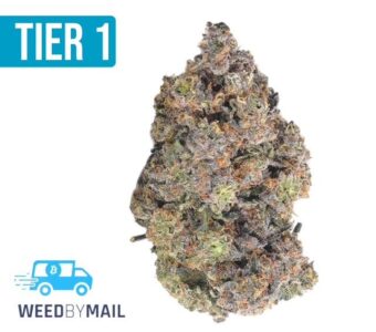 Tier 1 Pineapple Fruz (36.98%THC)(Sativa)