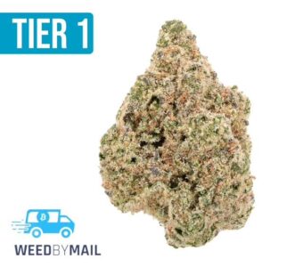 Tier 1 Cake Crasher (36.82% THC)(Hybrid)