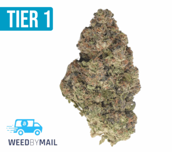 Tier 1 Godfather OG (35.98% THC)(Indica)