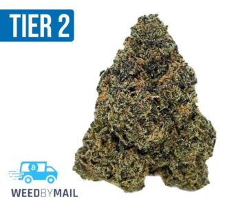 Tier 2 Grape Drink (32.92% THC)(Indica)