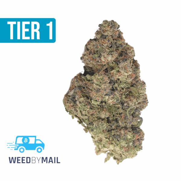 Tier 1 Godfather OG (35.98% THC)(Indica)