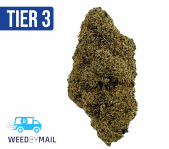 Tier 3 Hippy Crasher (28.78% THC)(Hybrid)