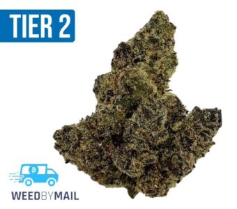 Tier 2 Citrus Punch (32.68% THC)(Sativa)