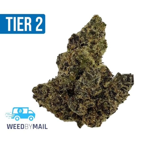 Tier 2 Citrus Punch (32.68% THC)(Sativa)