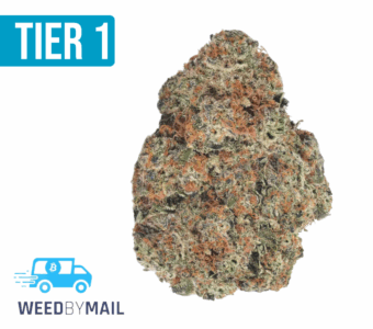 Tier 1 Irish Cream (36.84% THC)(Hybrid)