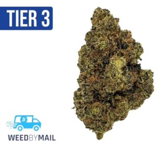 Tier 3 Gumbo (28.88% THC) (Indica)