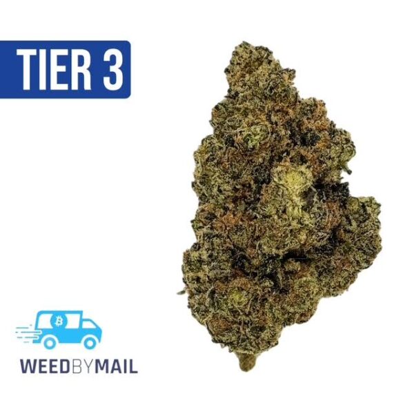 Tier 3 Gumbo (28.88% THC) (Indica)