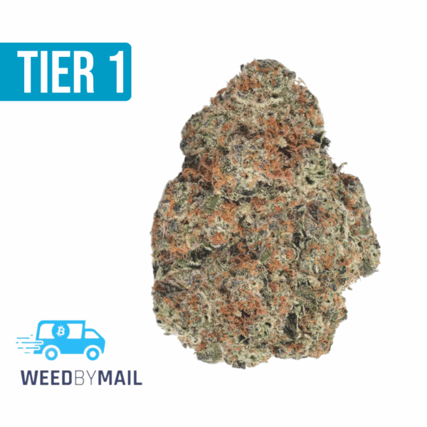 Tier 1 Irish Cream (36.84% THC)(Hybrid)
