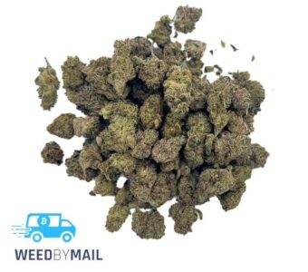 Tier 2 (Small Buds) Hurricane (31.91% THC)(Sativa)