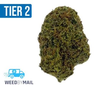 Tier 2 Sour Tangie (32.87% THC) (Sativa)