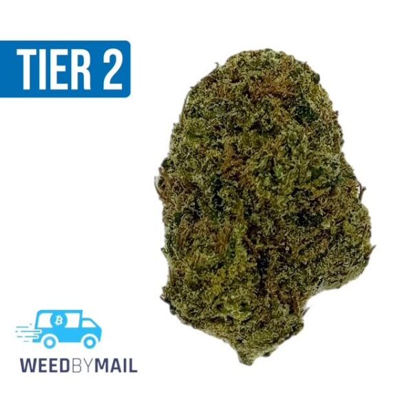 Tier 2 Sour Tangie (32.87% THC) (Sativa)