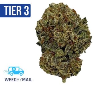 Tier 3 Birthday Cake (28.64% THC)(Hybrid)