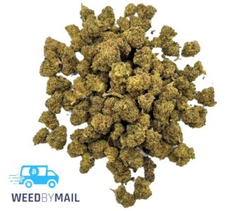 Tier 2 (Small Buds) Critical Hog (31.87% THC)(Indica)
