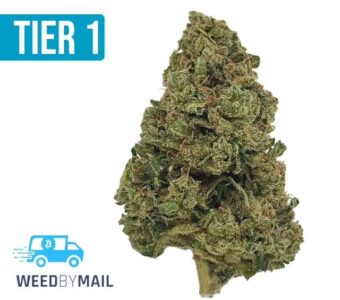 Tier 1 Green Crack (36.96%THC)(Sativa)