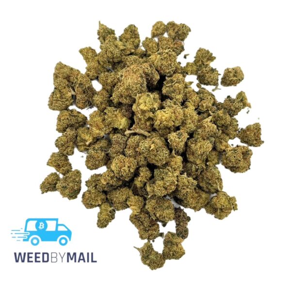 Tier 2 (Small Buds) Critical Hog (31.87% THC)(Indica)