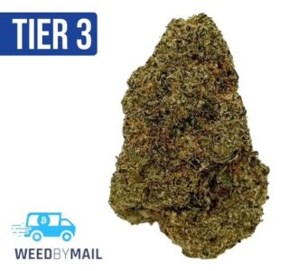 Tier 3 Milkman (28.78% THC)(Indica)